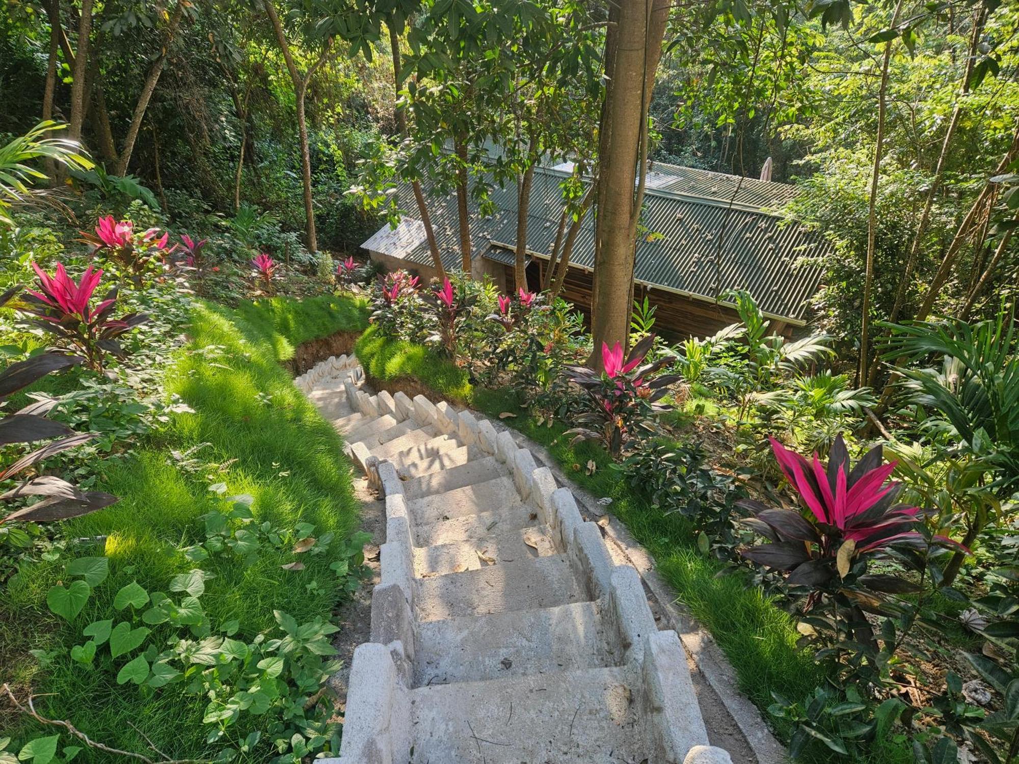 La Casa Del Mono Villa Minca Kültér fotó